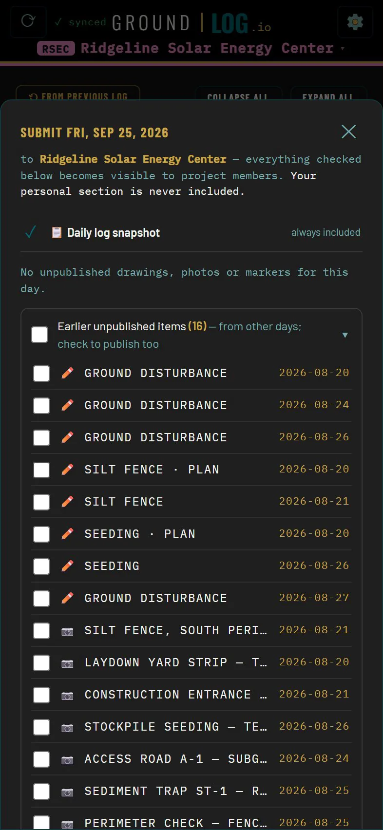 Submit the day dialog listing what becomes visible to project members